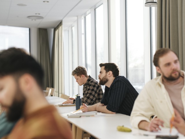 Studenter under föreläsning vid högskola Högskola - övrigt