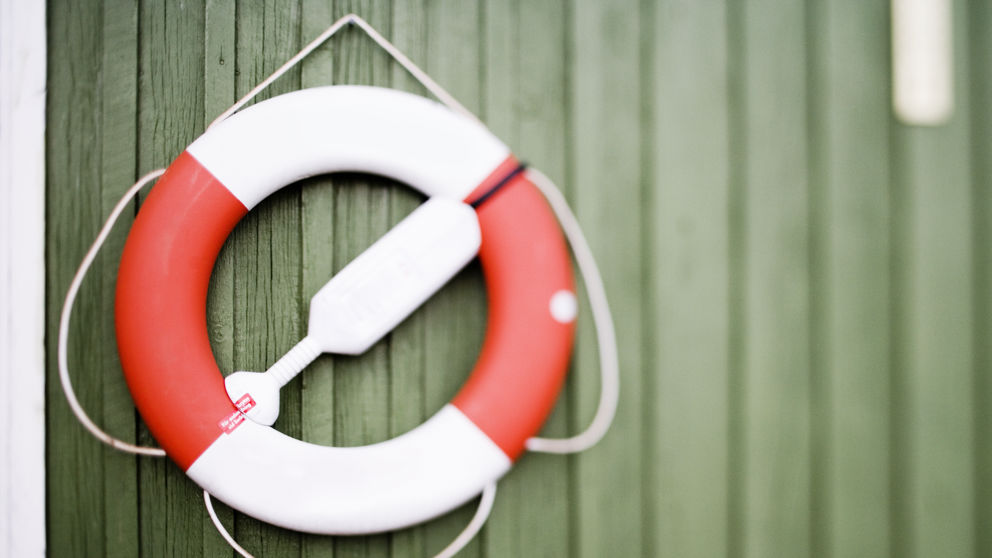 Livboj på grön vägg